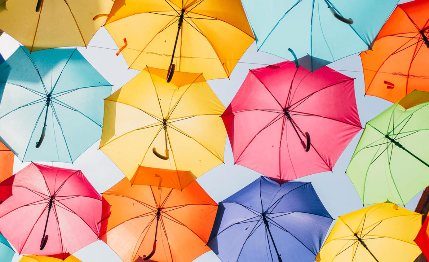 Stacey McGuirk Rodriguez B2B